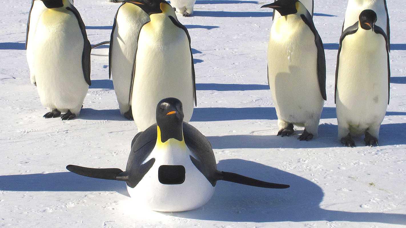 An animatronic camera observes Emperor penguins.