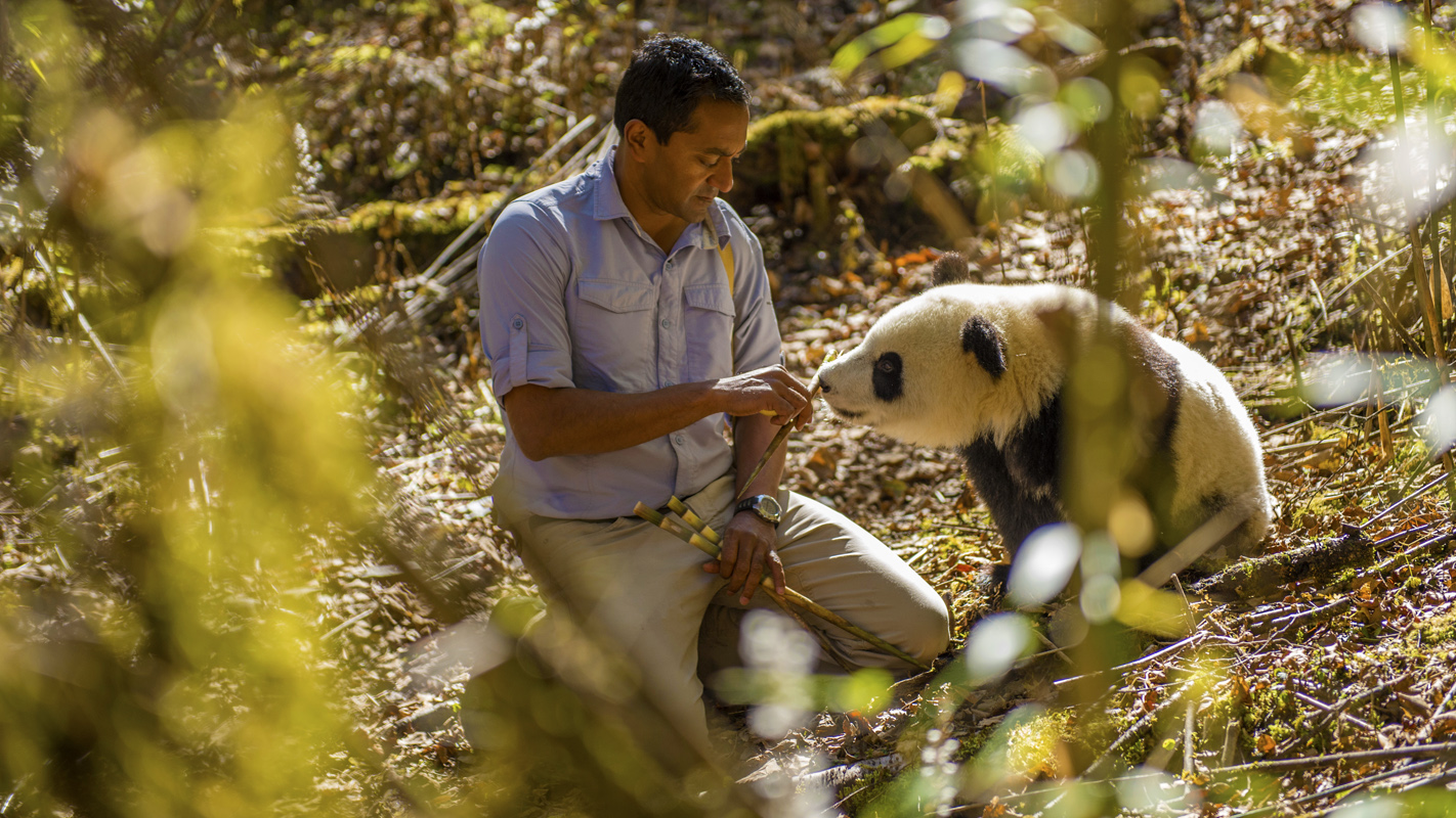 Earth A New Wild: Home/Plains