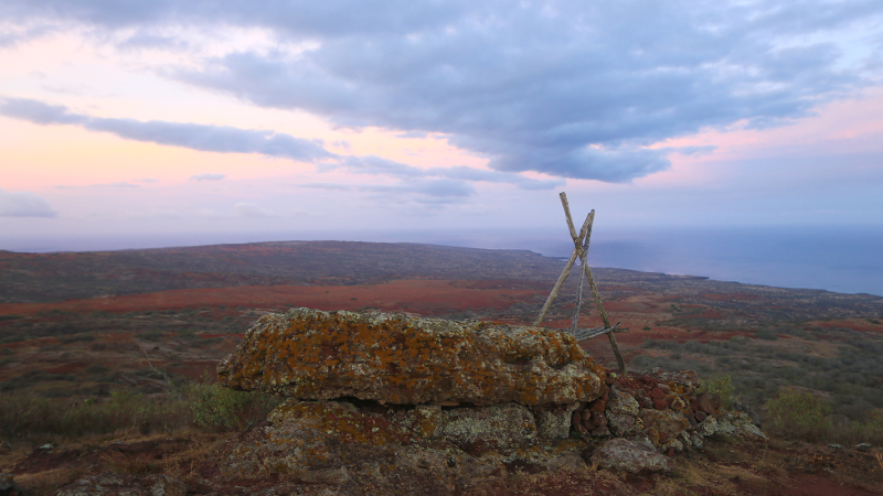 Photo courtesy Ryan Kawamoto