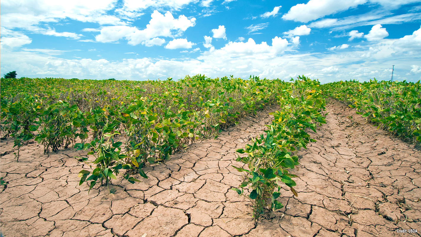 INSIGHTS ON PBS HAWAI‘I <br/>Climate Change