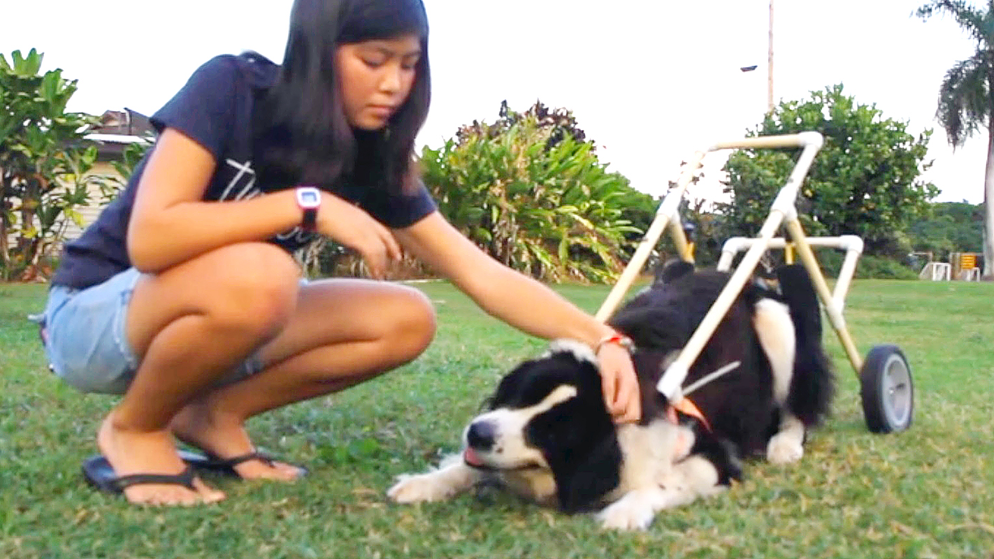 HIKI NŌ <br/>Focus on Generation Z