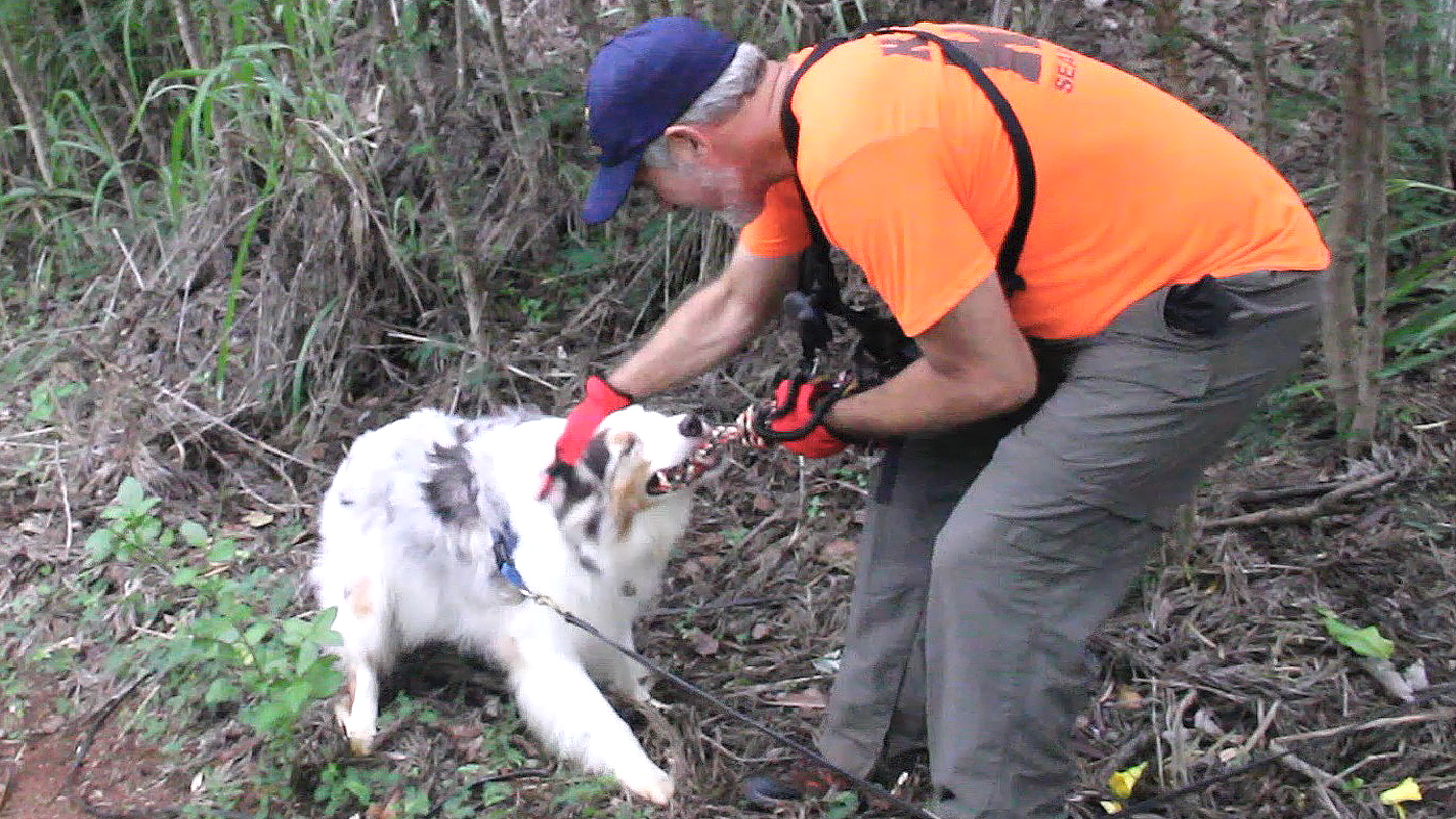 HIKI NŌ <br/>Top Story: Chiefess Kamakahelei Middle School, Kauai’s Search and Rescue Canine Team