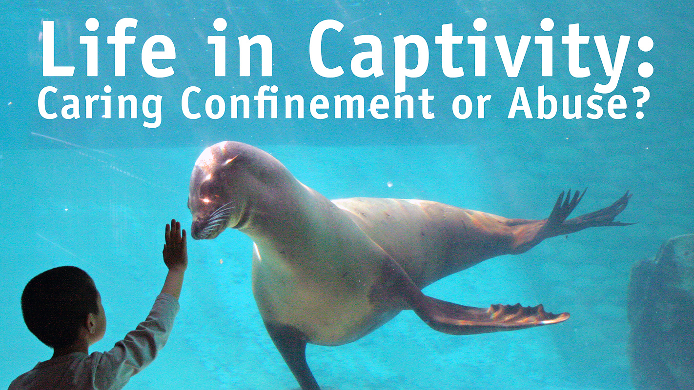 INSIGHTS ON PBS HAWAI‘I <br/>Life in Captivity: Caring Confinement or Abuse?