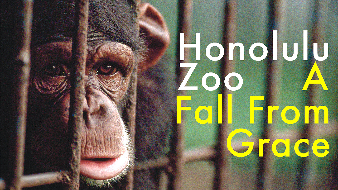 INSIGHTS ON PBS HAWAI‘I <br/>The Honolulu Zoo: A Fall from Grace