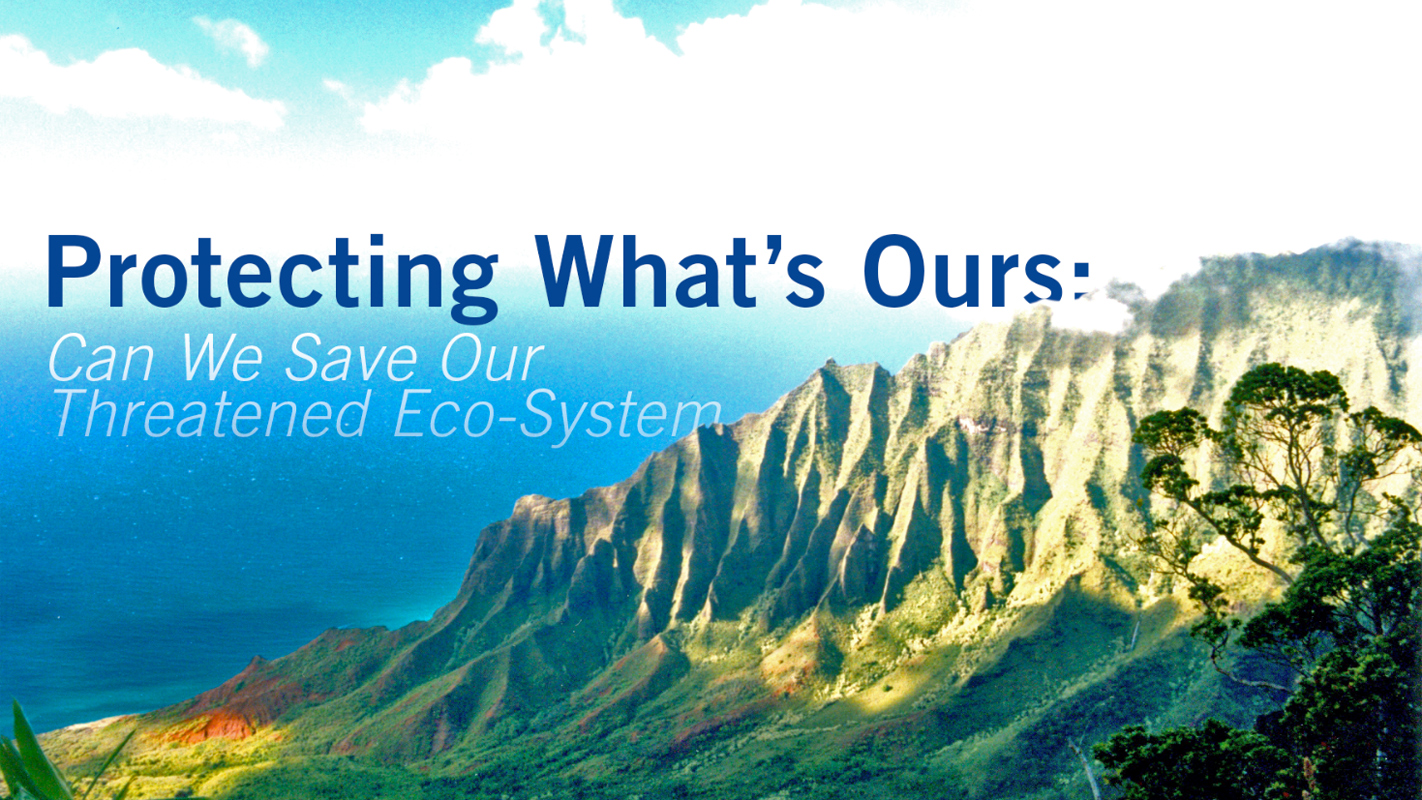 INSIGHTS ON PBS HAWAI‘I <br/>Protecting What’s Ours: Can We Save Our Threatened Ecosystems?