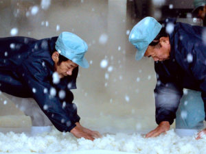 POV: The Birth of Sake