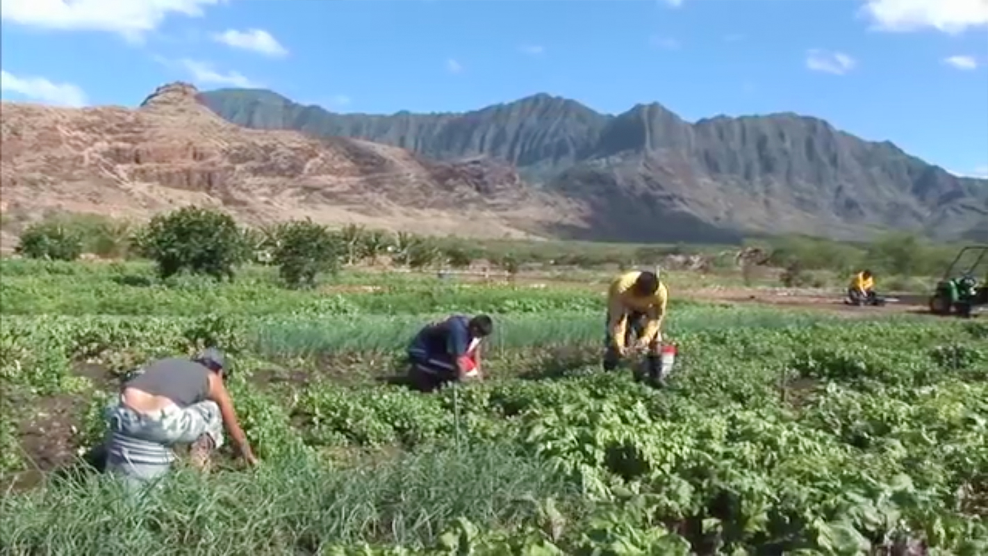 PBS HAWAI‘I PRESENTS <br/>Seeds of Hope