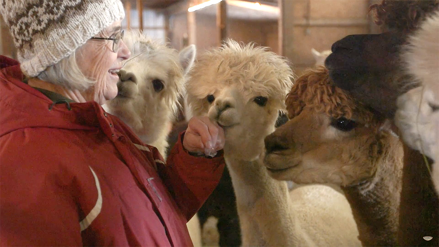 A CRAFTSMAN’S LEGACY <br/>The Yarn Spinner