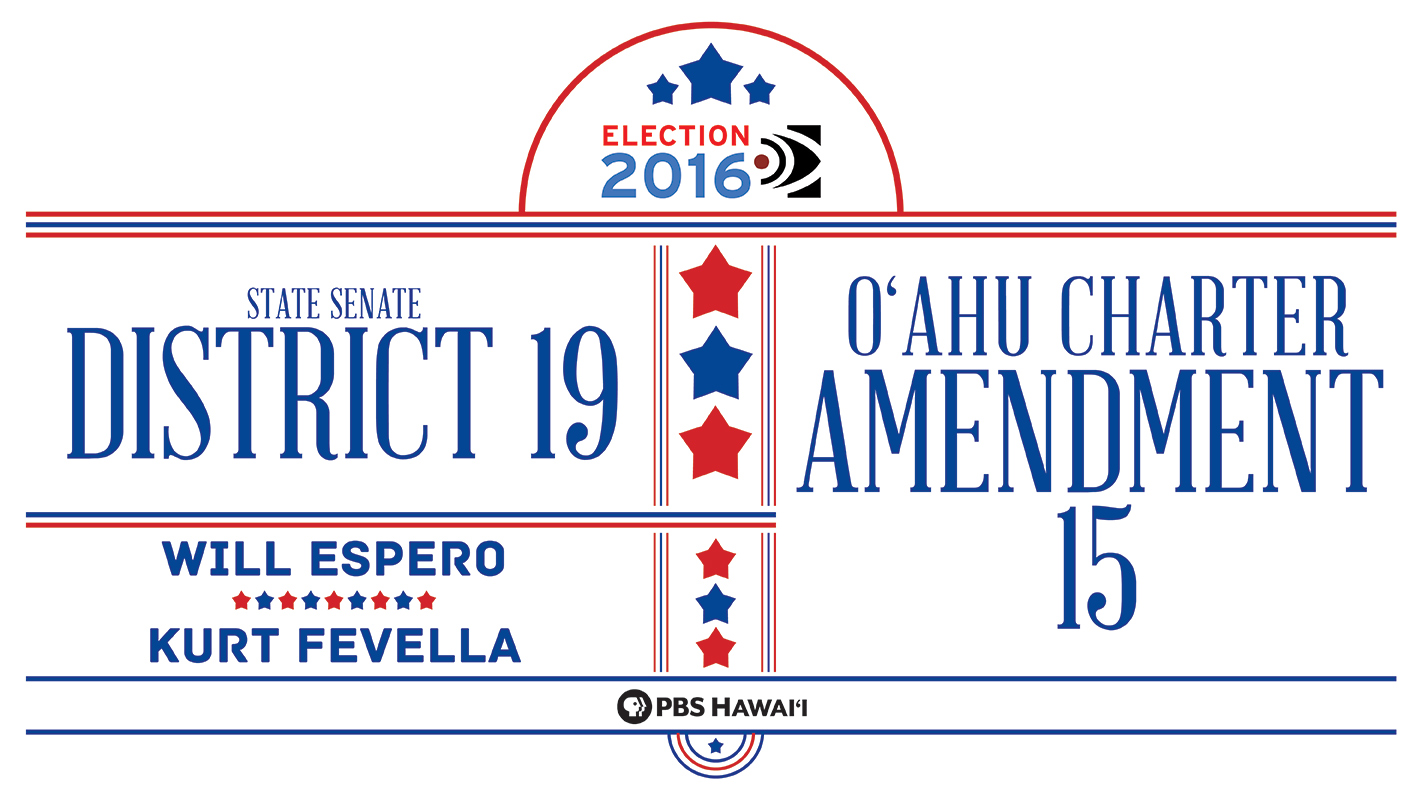 INSIGHTS ON PBS HAWAI‘I <br/>State Senate District 19 <br/>O‘ahu Charter Amendment 15