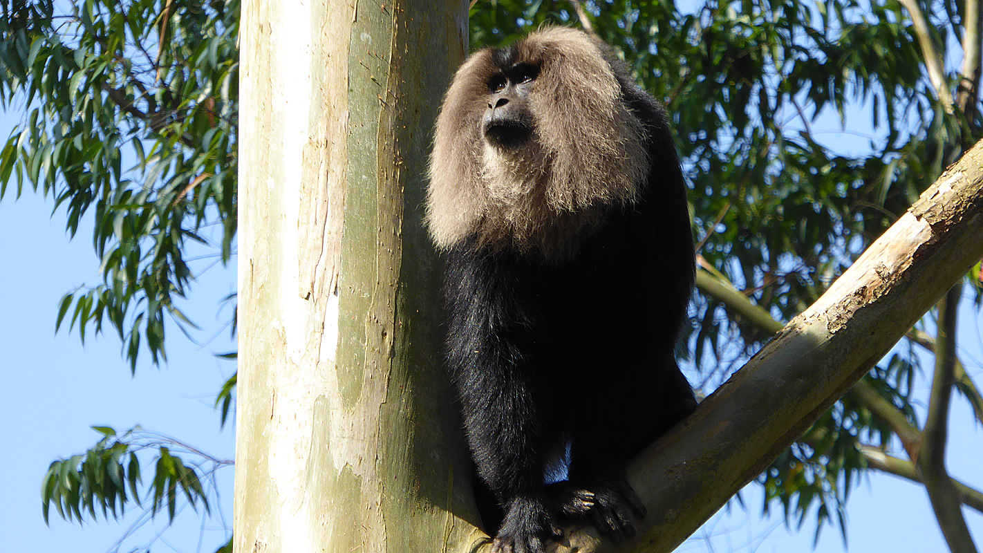 INDIA – Nature’s Wonderland <br/>Part 2 of 2