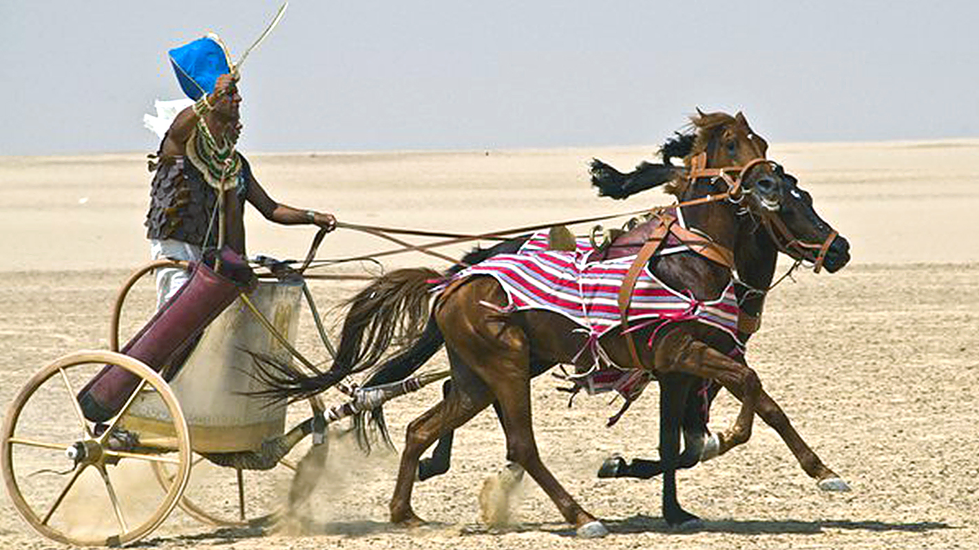 NOVA <br/>Building Pharaoh’s Chariot