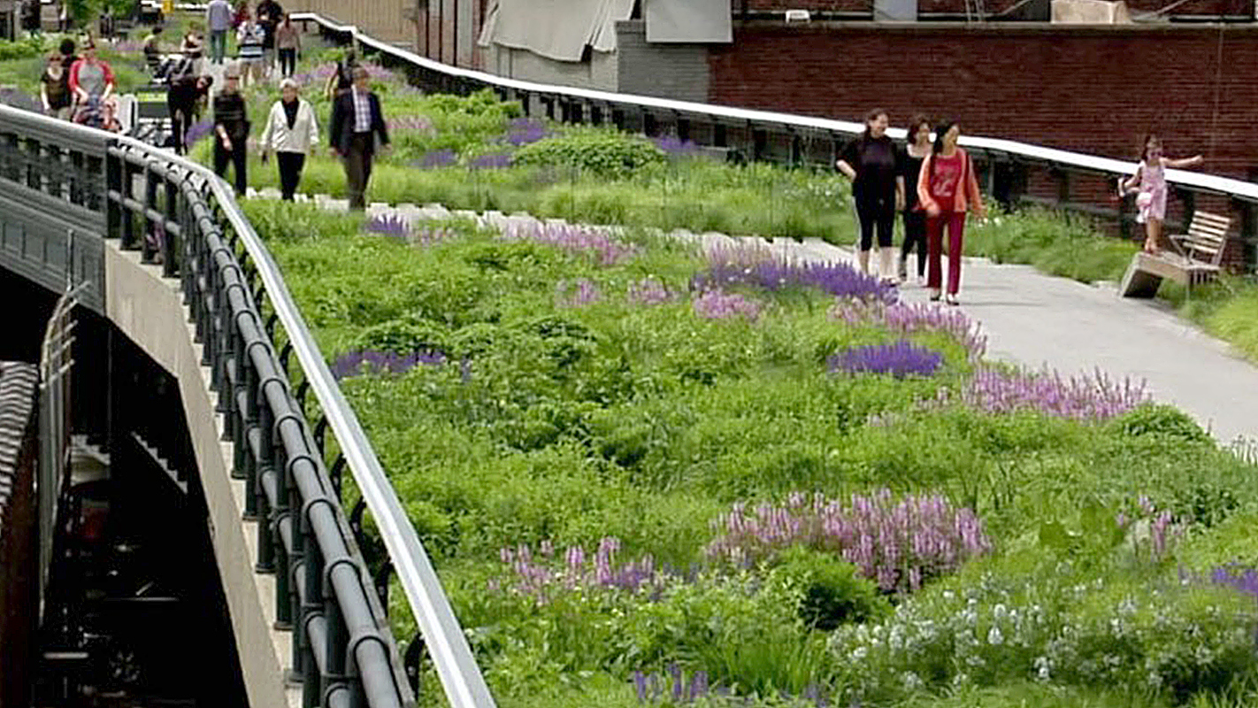 GREAT MUSEUMS <br/>Elevated Thinking: The High Line in New York City