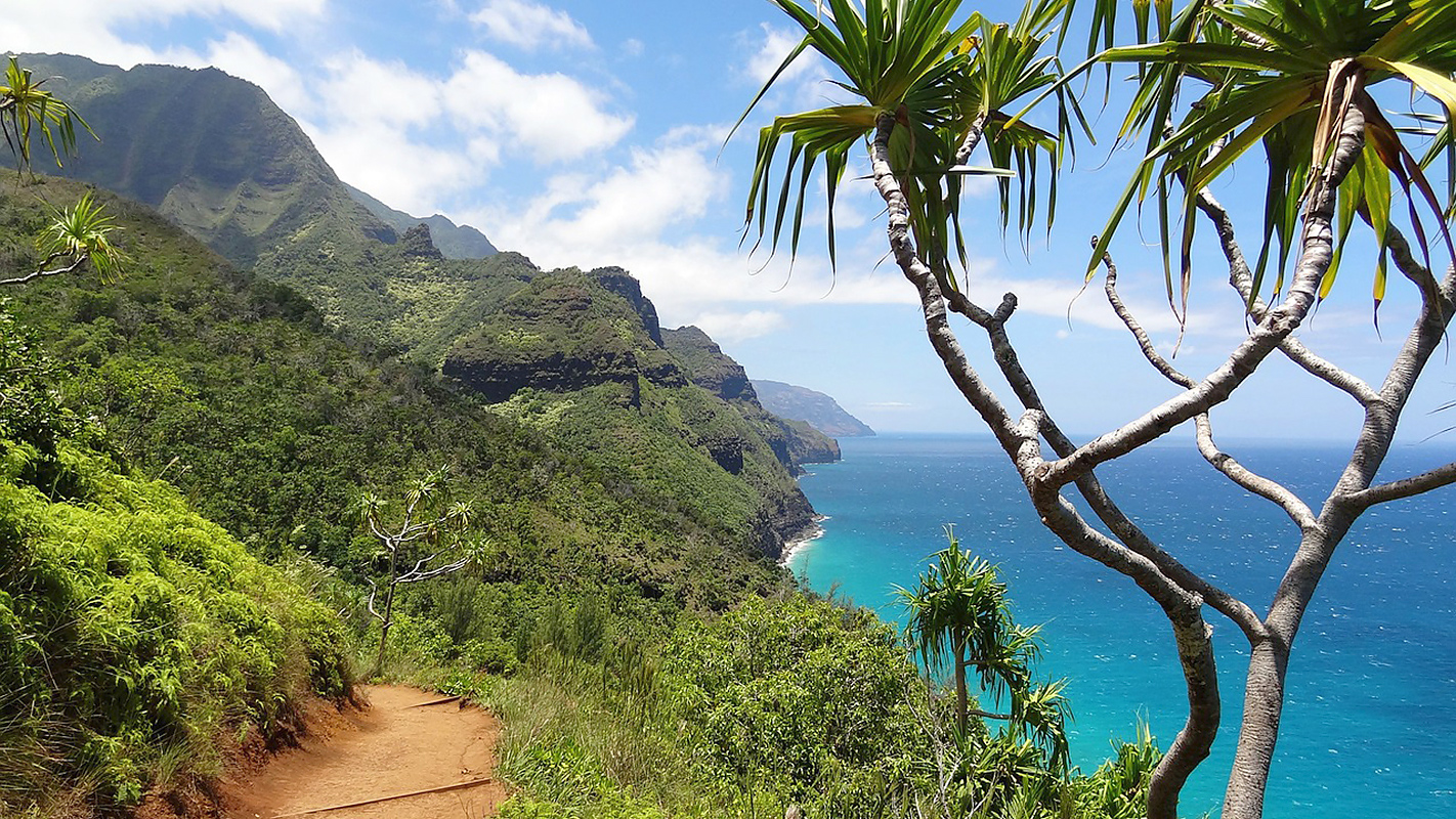INSIGHTS ON PBS HAWAI‘I <br/>Is Hawai‘i a Dangerous Destination?