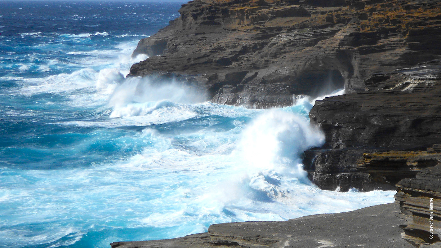 INSIGHTS ON PBS HAWAI‘I <br/>Dubious Distinction