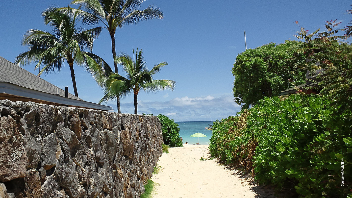 INSIGHTS ON PBS HAWAI‘I <br/>The Right of Access