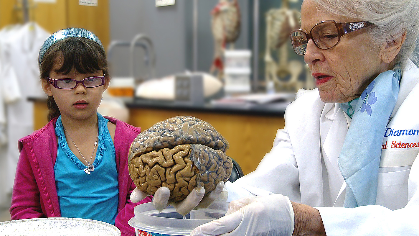 My Love Affair with the Brain: <br/>The Life & Science of Dr. Marian Diamond