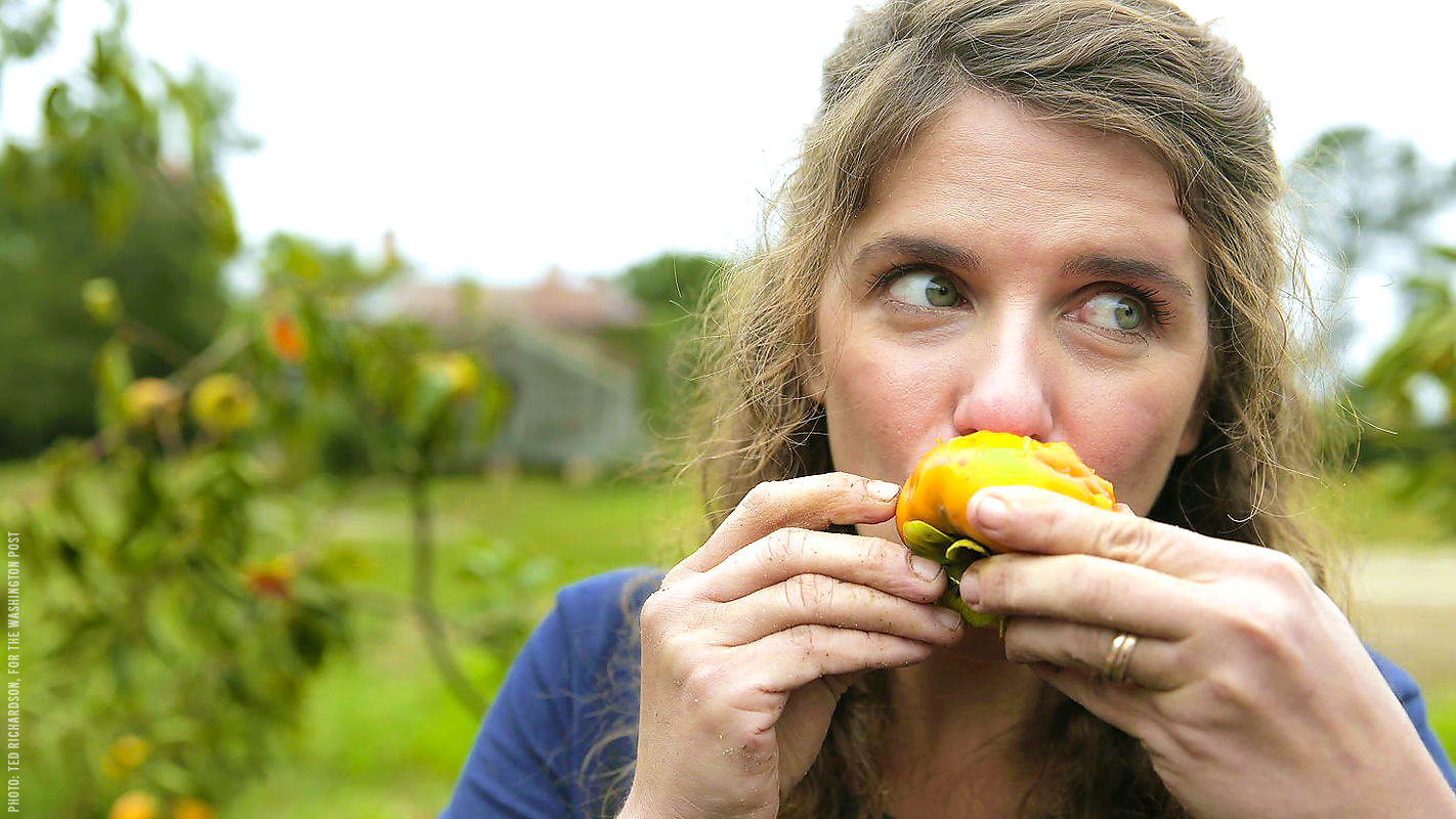 A CHEFʻS LIFE: Persimmon Style - Photo:Ted Richardson, For The Washington Post