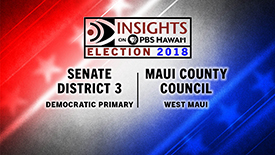 Democratic Primary for State Senate District 3, Maui County Council - West Maui