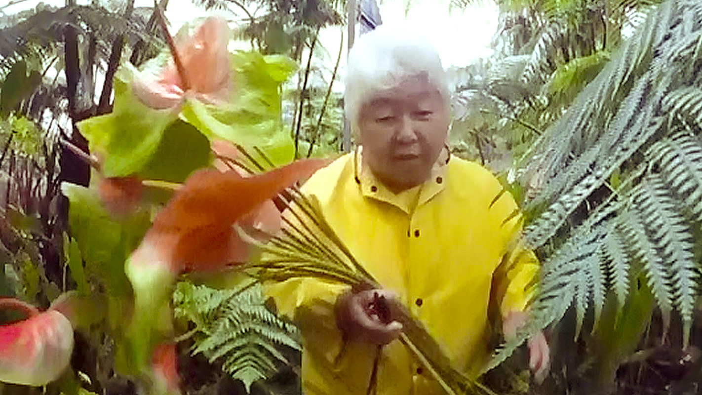 SEASONING THE SEASONS SPECIAL - Japanese Americans in Hawai‘i, Part 1: The Women Pioneers