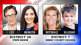 INSIGHTS ON PBS HAWAI‘I: State House District 36 / Hawai‘i County Council District 7