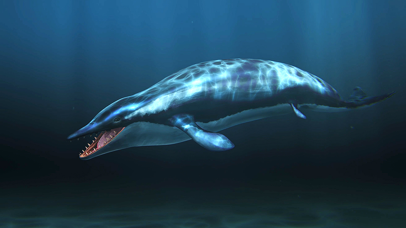 When Whales Walked: <br/>Journeys In Deep Time