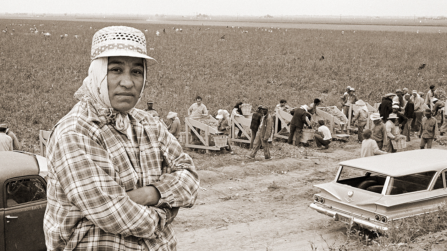 The Search for a Hero That History Forgot