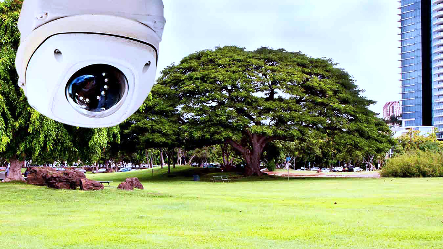 INSIGHTS ON PBS HAWAIʻI <br/>Surveillance Cameras in Public Parks