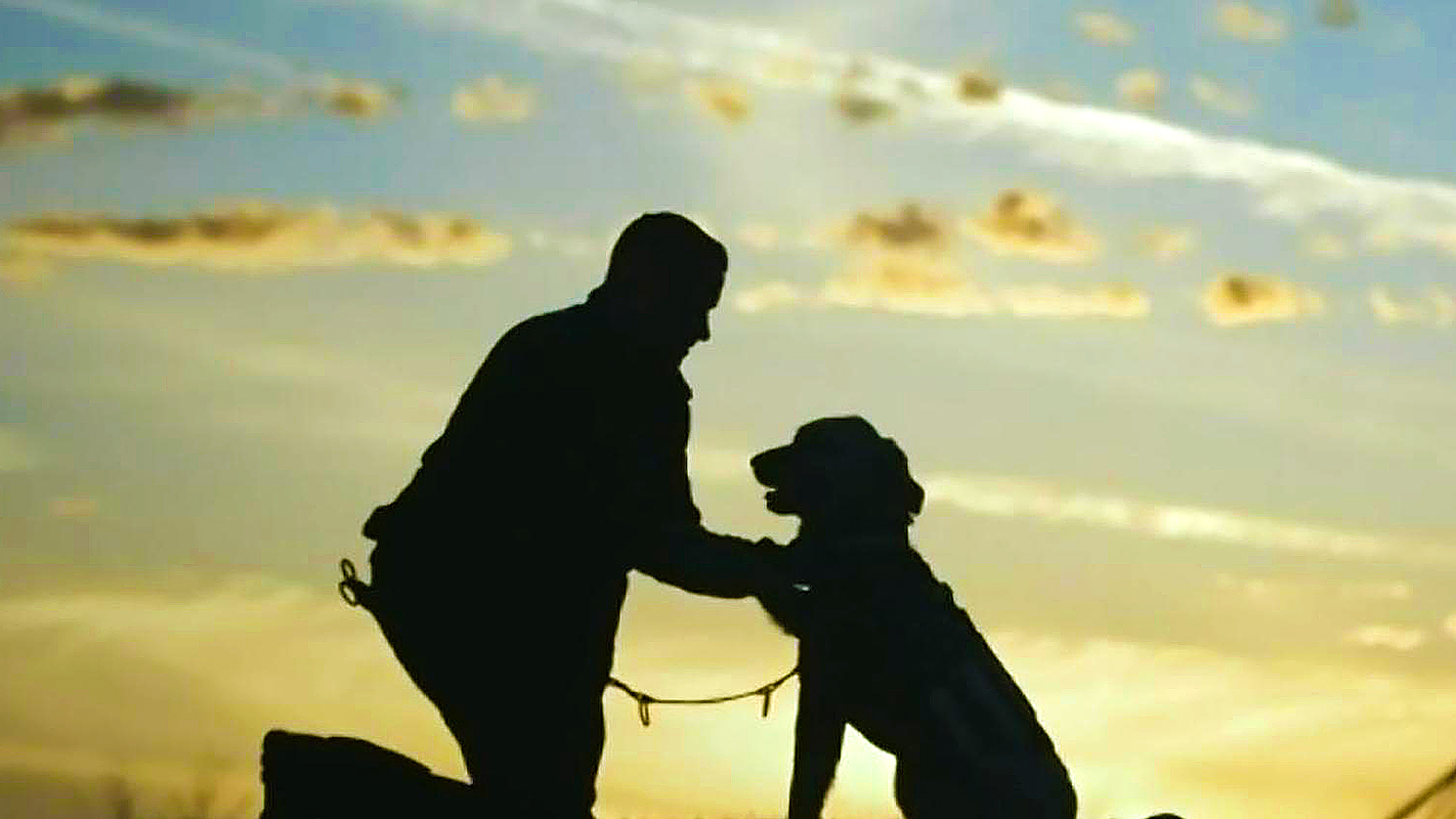 NEW LEASH ON LIFE: <br/>The K9s for Warriors Story