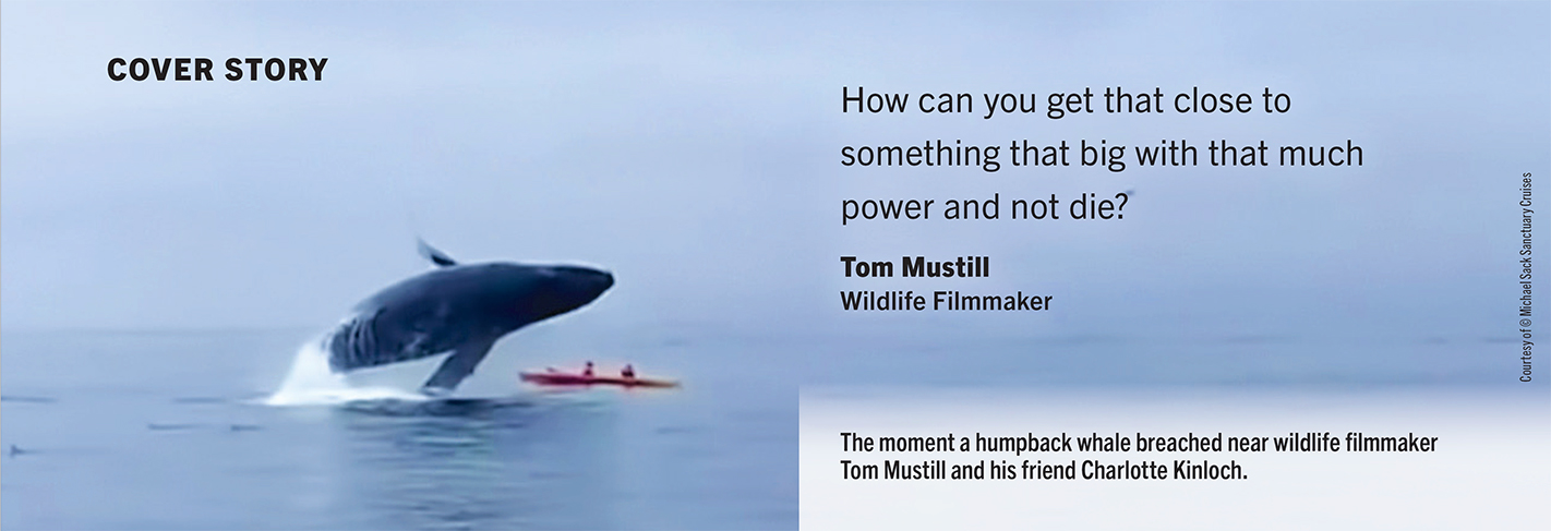 The moment a humpback whale breached near wildlife filmmaker Tom Mustill and his friend Charlotte Kinloch.