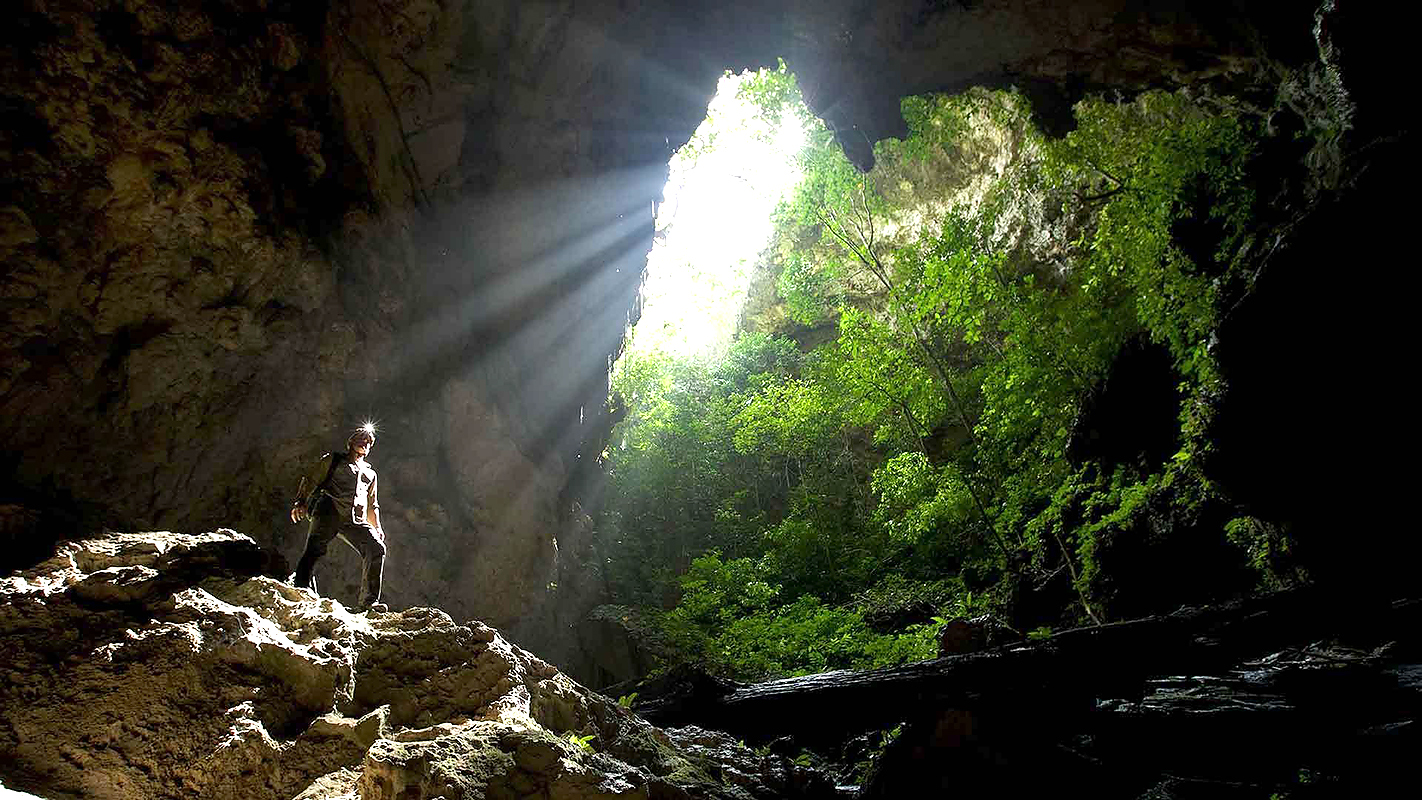 EXPEDITION WITH STEVE BACKSHALL <br/>Borneo: Dark Shadow