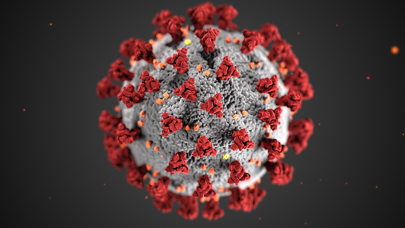FRONTLINE <br/>Coronavirus Pandemic