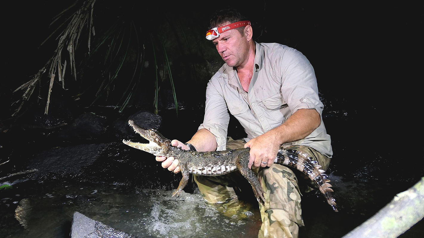 EXPEDITION WITH STEVE BACKSHALL <br/>Suriname: Ghost River