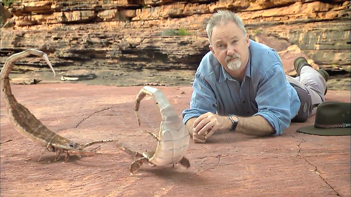 NOVA <br/>Australia’s First 4 Billion Years: Life Explodes