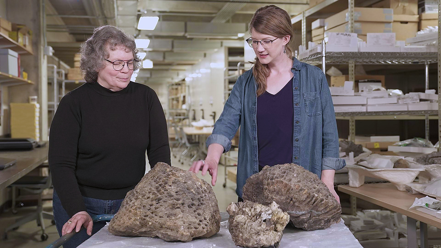 PREHISTORIC ROAD TRIP <br/>Tiny Teeth, Fearsome Beasts