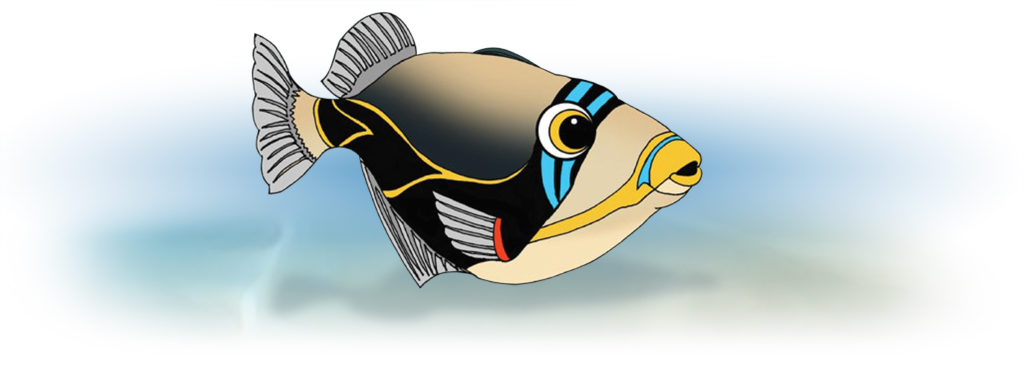 Our state fish, the humuhumunukunukuapuaʻa, is wise to heed the words of Dory the Pacific blue tang in the movie Finding Nemo.