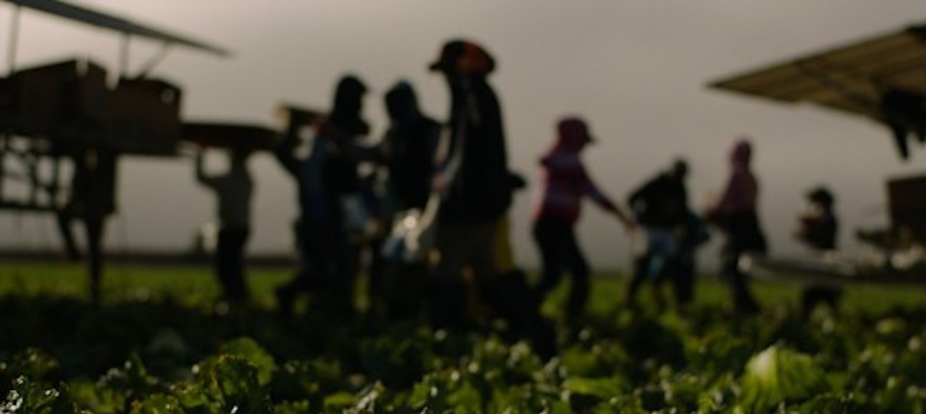 FRONTLINE <br/>Covid’s Hidden Toll