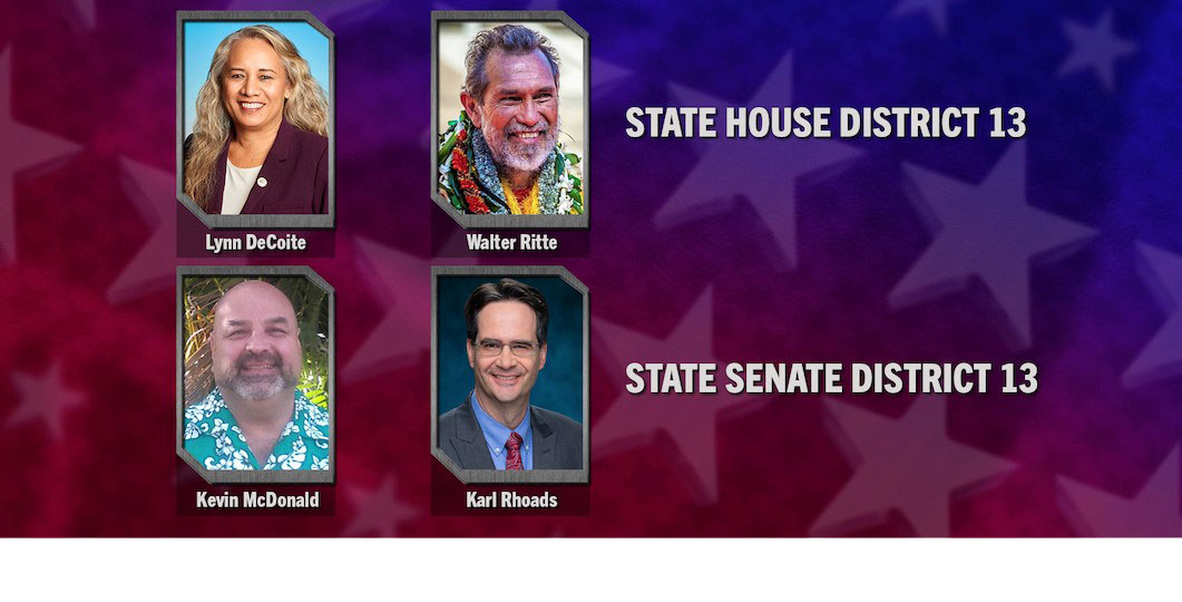 Election 2020 <br/>Democratic Primary Election: State House District 13 and State Senate District 13 <br/>INSIGHTS ON PBS HAWAIʻI