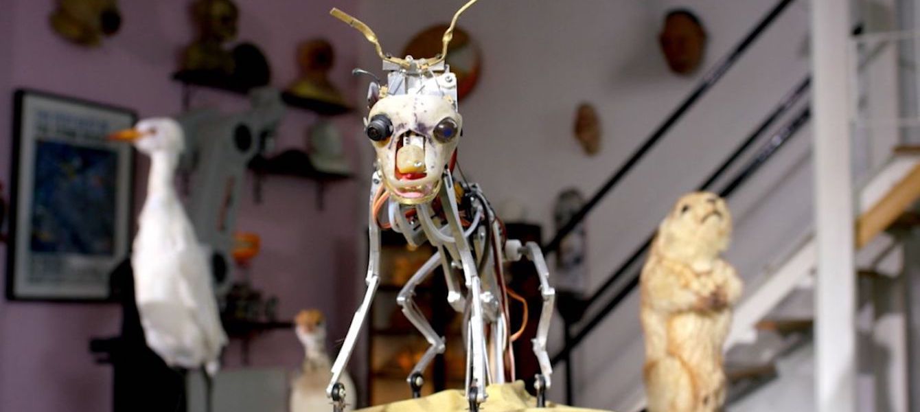 SPY IN THE WILD, A NATURE MINISERIES