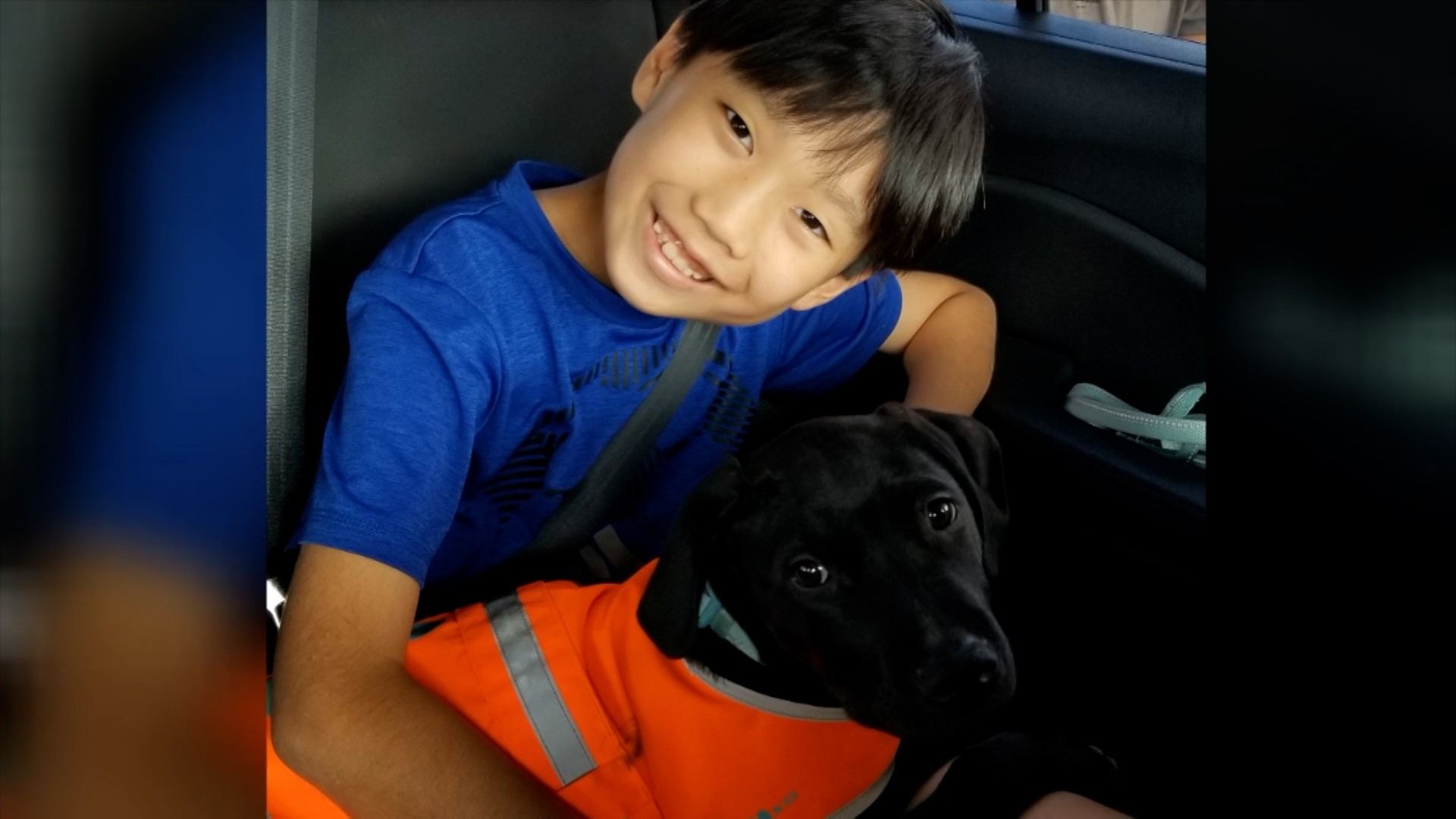 How One Dog Helped Make COVID-19 More Bearable