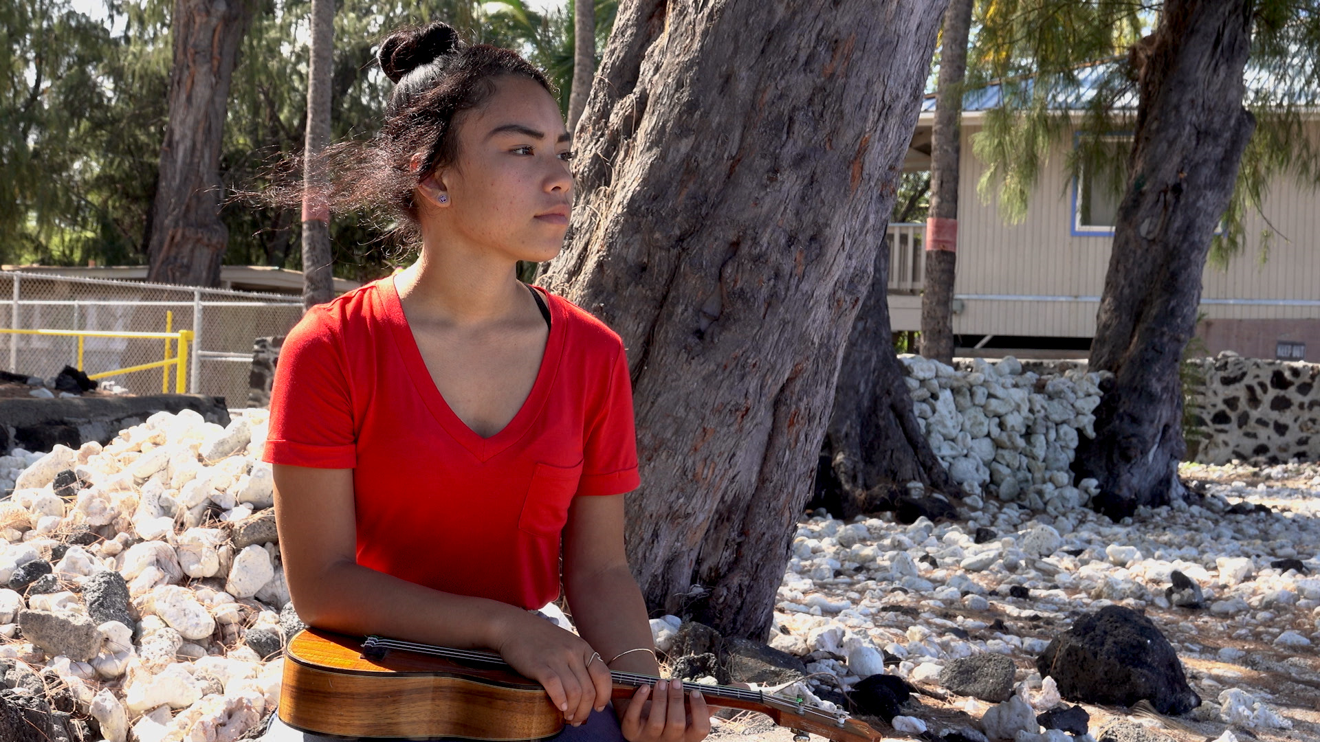 HIKI NŌ and the Healing Power of Storytelling