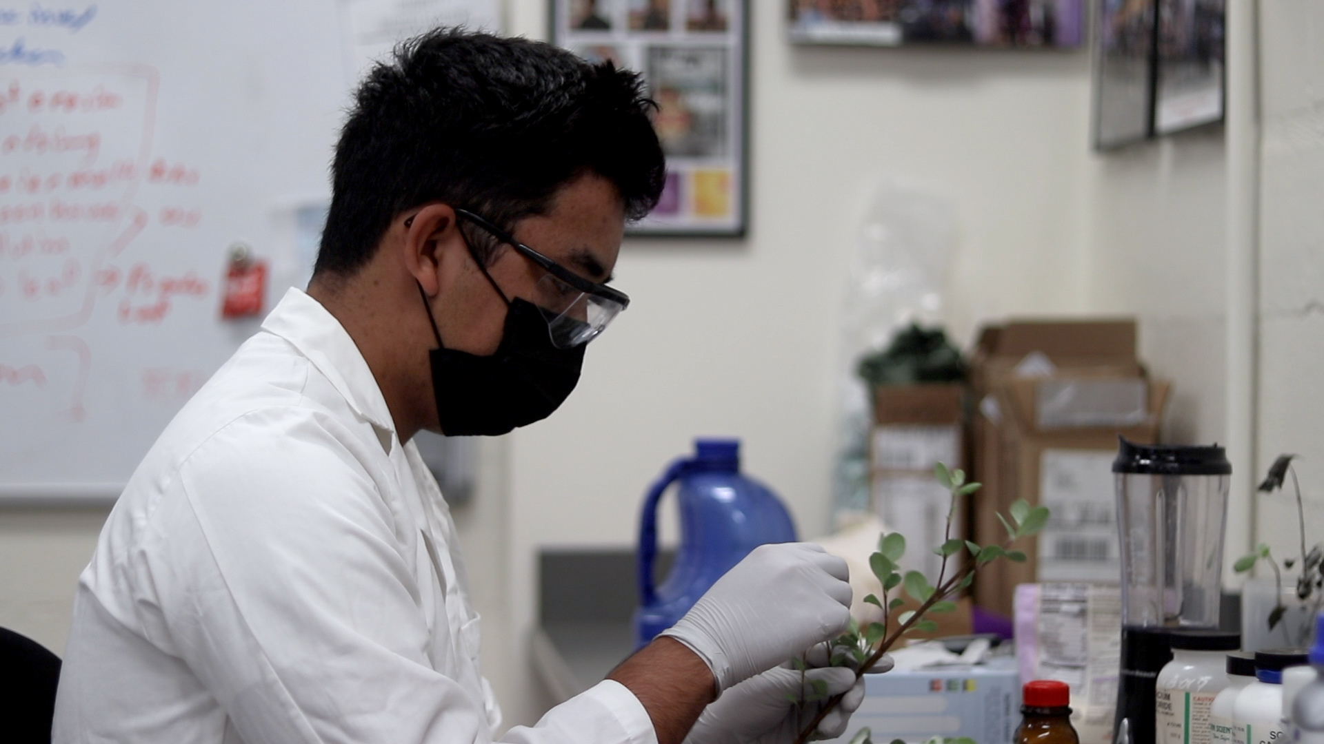 Turning Over a New Leaf