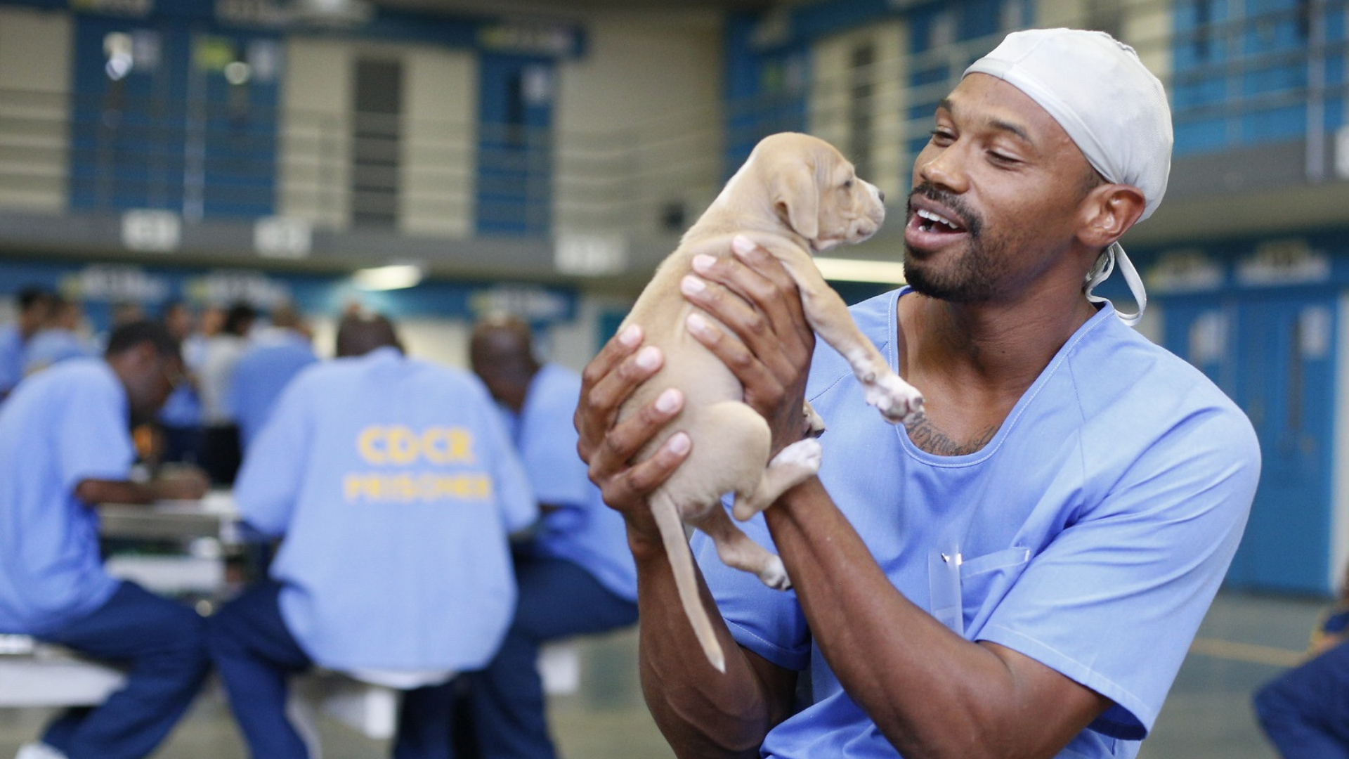 Uplifting Stories of Shelter Pets