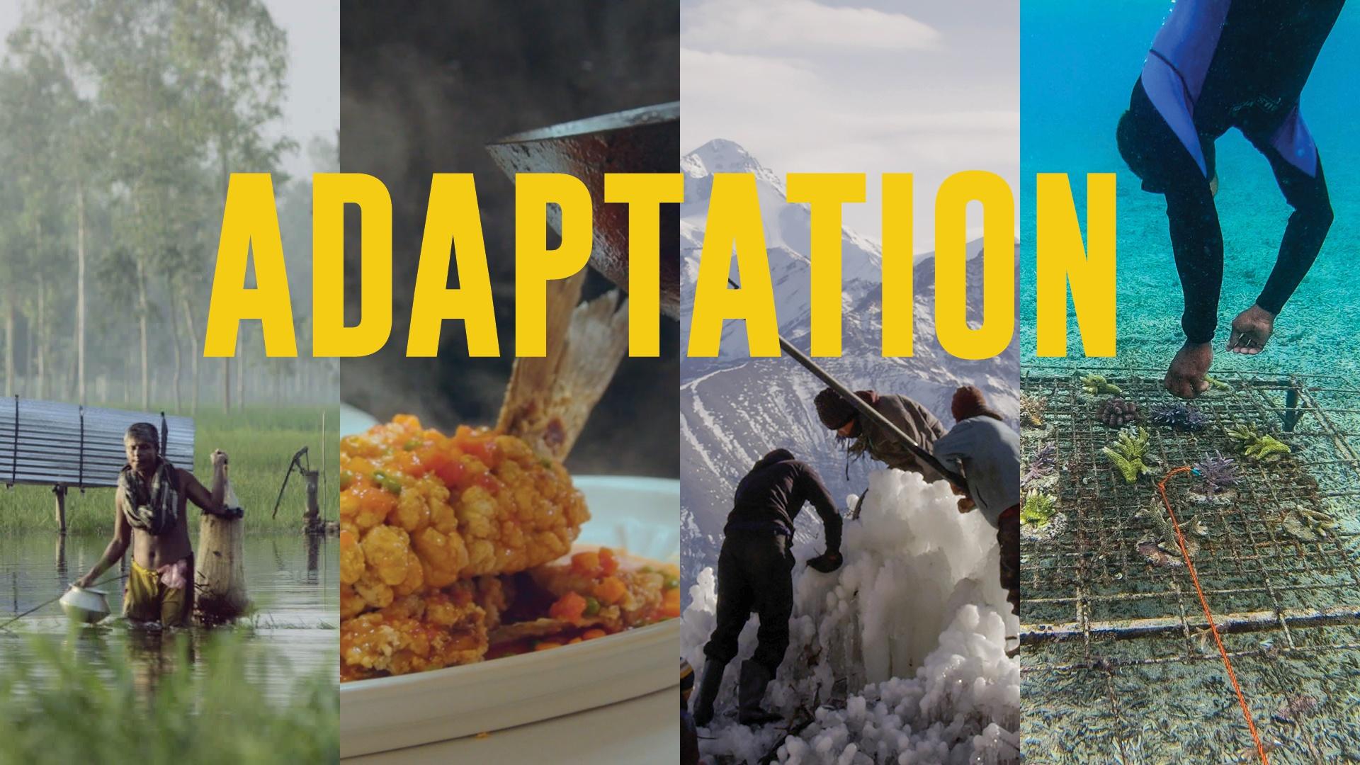 NEW STREAMING SERIES! <br/>Documenting the Inspiring Work Around Environment Crises