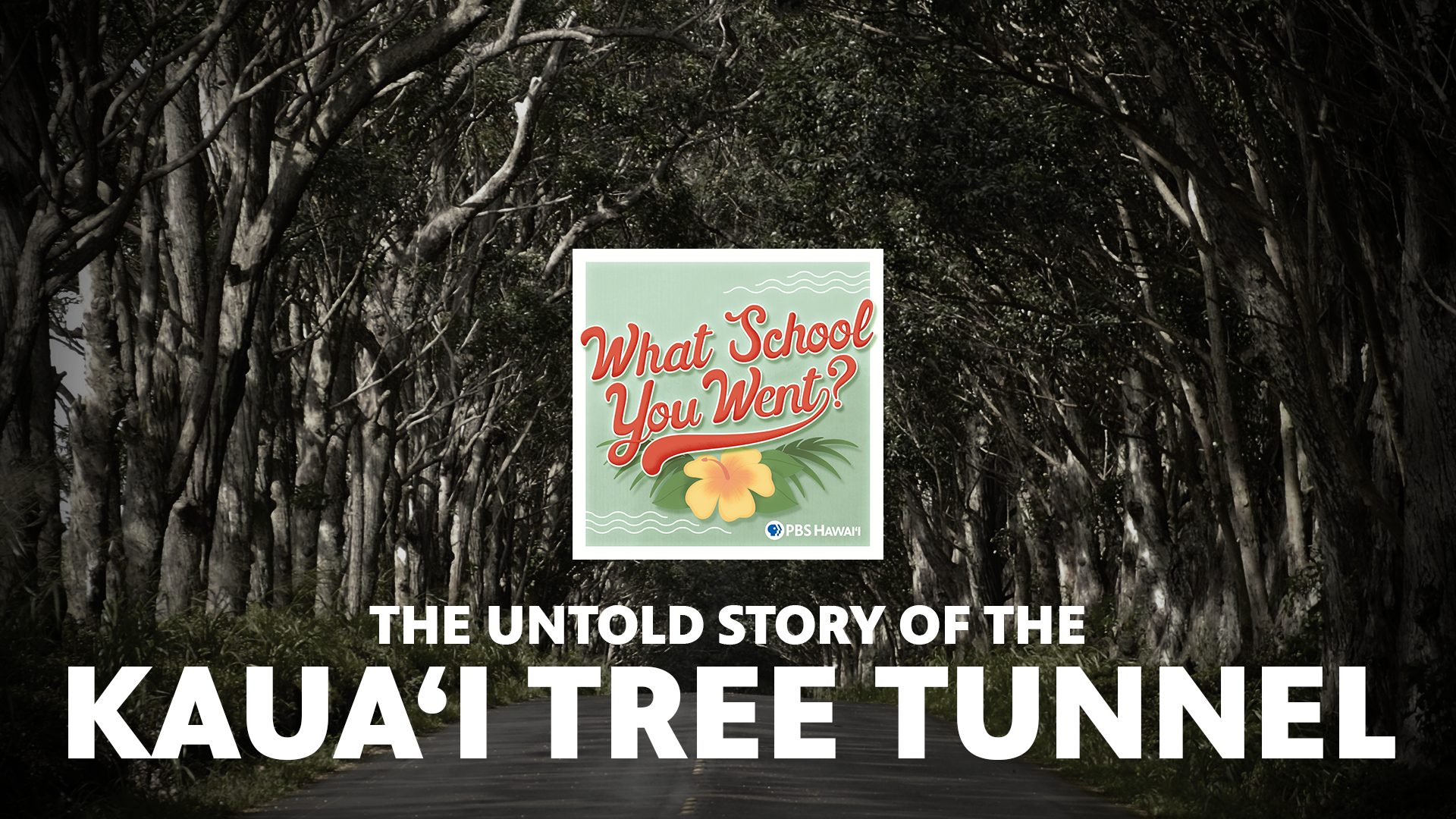 The Untold Story of the Kauaʻi Tree Tunnel