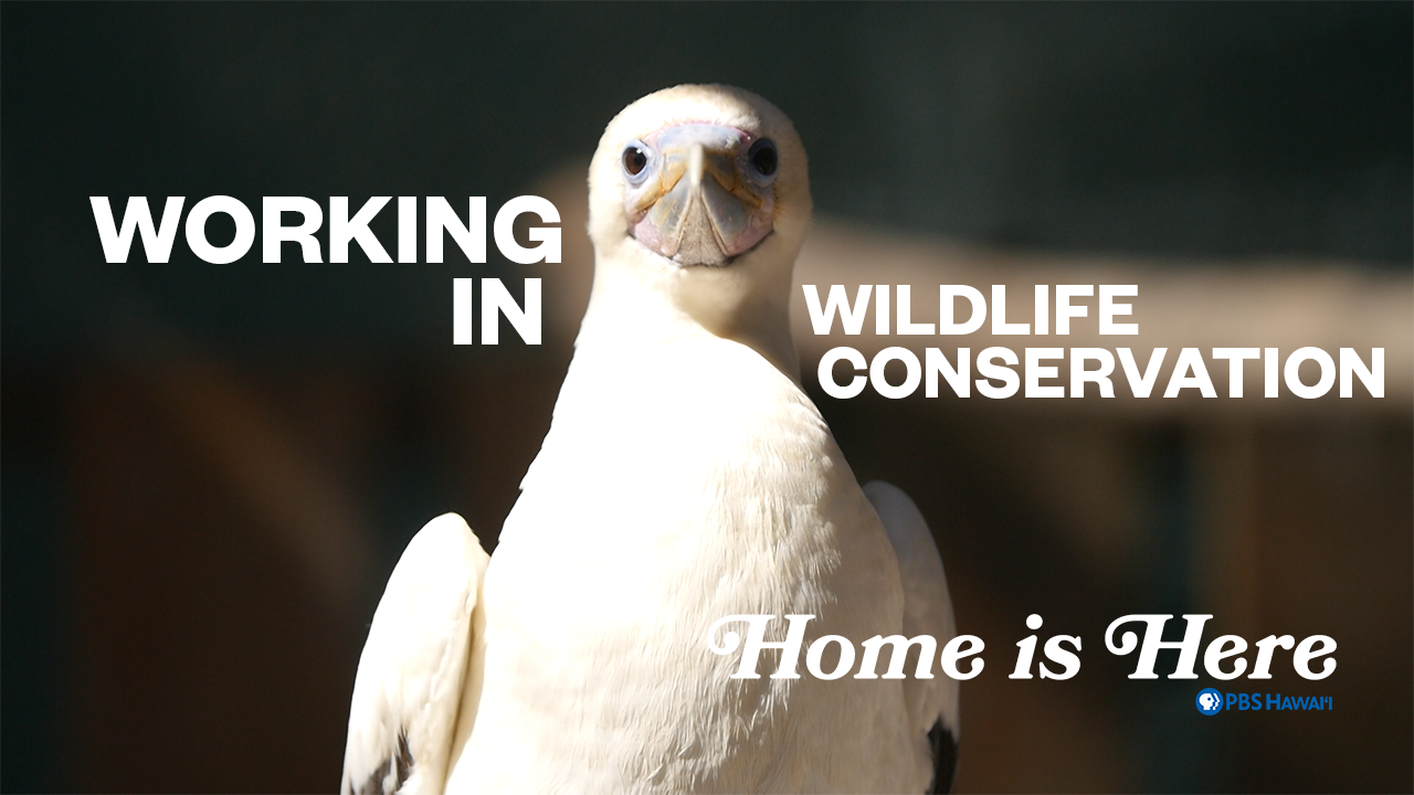 Home is Here <br/>Working in Wildlife Conservation