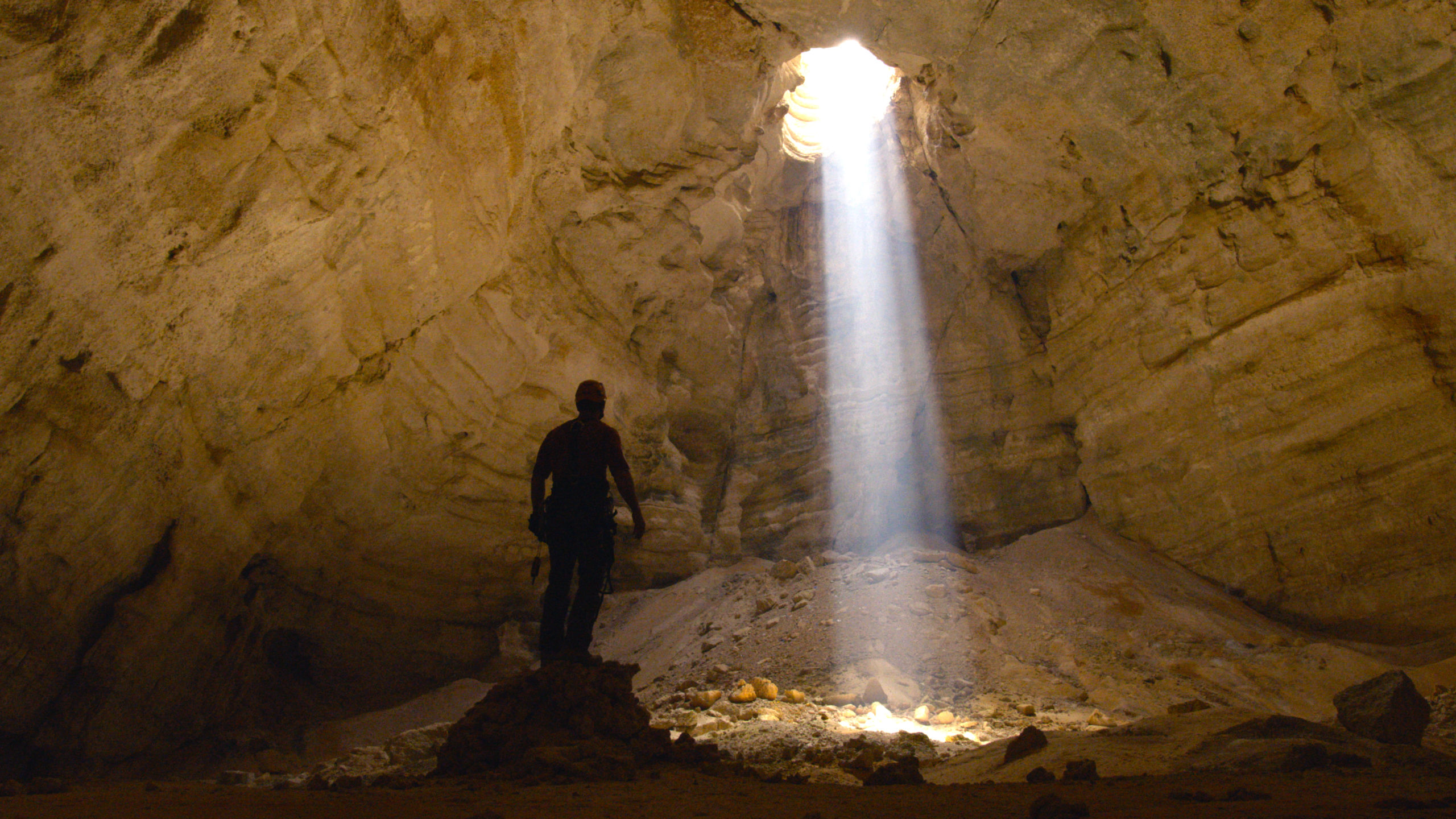 NEW EPISODE! <br/>Expedition with Steve Backshall: Close Encounters