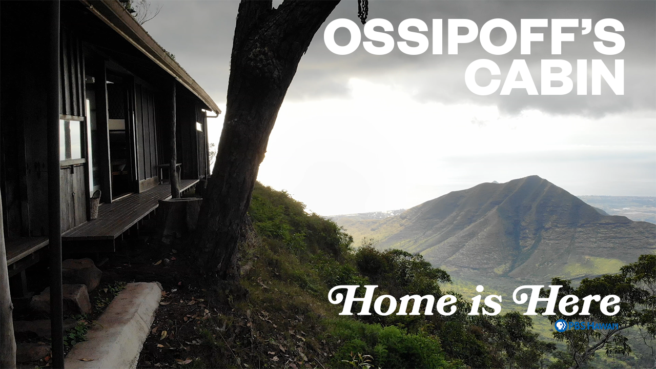 Ossipoff&#8217;s Cabin