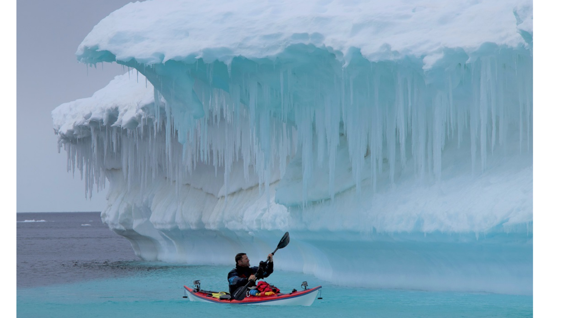 NEW SERIES <br/>Expedition with Steve Backshall: Unpacked