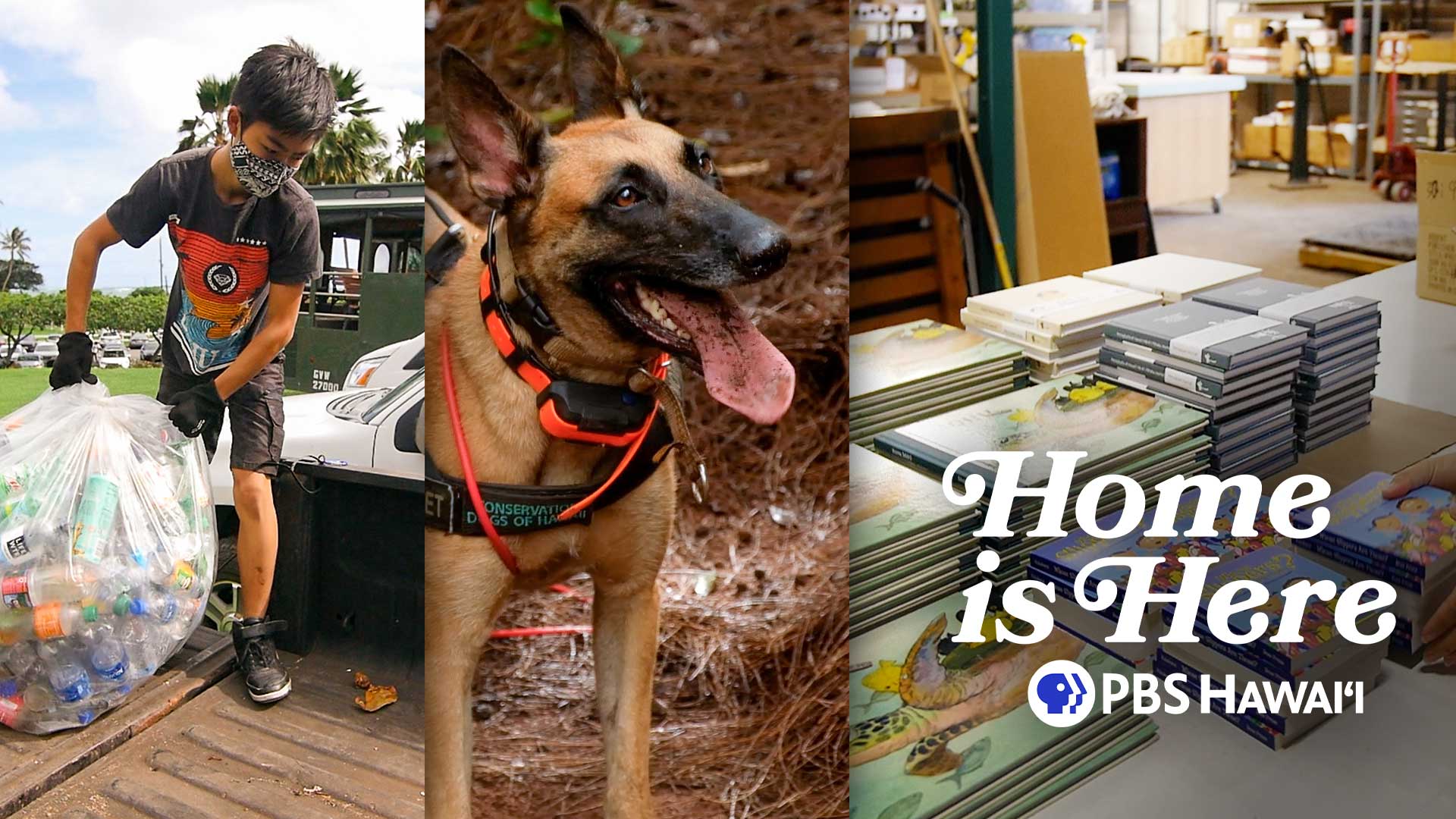 Education, Conservation and Determination <br/>Home is Here