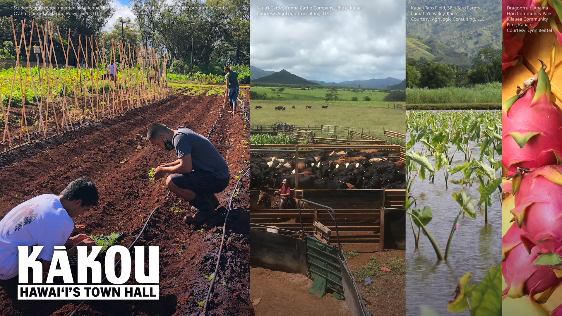 The Desperate Need for a Food and Resilience Strategy for Hawaiʻi